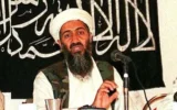 Bin Laden virale su TikTok