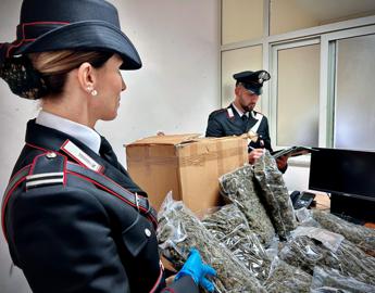 Casalinga riceve 'per errore' pacco con 10 chili di marijuana e chiama i carabinieri