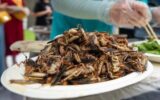 Grilli arrostiti, formiche e scorpioni in barattolo in vendita sul web: scatta sequestro