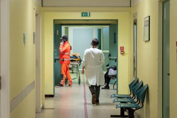 Vicenza, due morti in ospedale. La Regione: "Non è influenza suina"