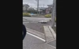 Sisma Giappone, auto all'incrocio e la strada si alza