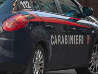 Pisa, turista irlandese denuncia: "Stuprata dentro un van"