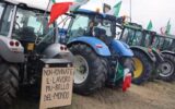 Protesta dei trattori, Riscatto Agricolo: "Non andremo al corteo del 15 febbraio"