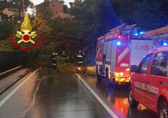 Maltempo in Liguria, cadono alberi e massi sull'Aurelia: strada chiusa in due tratti