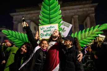 Germania legalizza 'parzialmente' la cannabis: cosa si potrà fare
