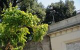 Roma, ragazza cade da terrazza del Pincio: volo di 5 metri
