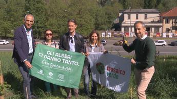 Sostenibilità: forestazione urbana, 750 nuove piante nel quartiere Parella di Torino