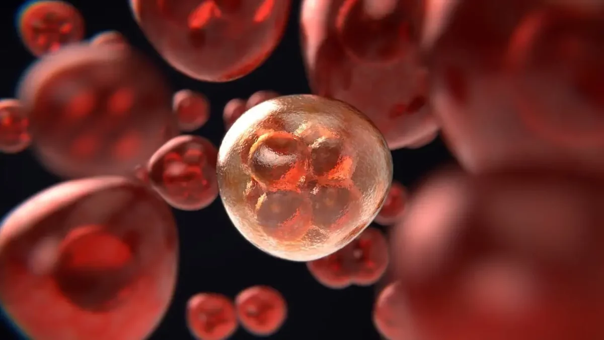 Come il mondo può eliminare il tumore della cervice uterina cervice uterina