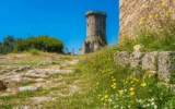 Gli scavi di Velia: tesoro dell'archeologia italiana