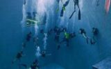 La scienza italiana svela i segreti del cuore sott'acqua La scienza italiana svela i segreti del cuore sott'acqua