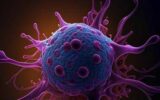 Tumori, aumentano nei giovani: in crescita neoplasie colon, pancreas e polmone Tumori, aumentano nei giovani: in crescita neoplasie colon, pancreas e polmone