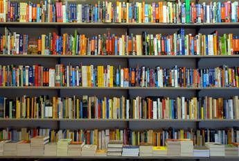 Da Rampini a Cassese, ecco le novità in libreria Da Rampini a Cassese, ecco le novità in libreria