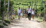 Turismo, UniCredit-Nomisma Wine Monitor: da quello del vino 3 miliardi di valore per cantine Turismo, UniCredit-Nomisma Wine Monitor: da quello del vino 3 miliardi di valore per cantine