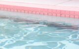 Milano Marittima, bimba annegata in piscina hotel: padre indagato per abbandono di minore Milano Marittima, bimba annegata in piscina hotel: padre indagato per abbandono di minore