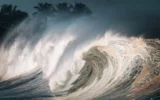 Giappone, lo tsunami del 2011 ha influenzato l’evoluzione dei pesci Giappone, lo tsunami del 2011 ha influenzato l’evoluzione dei pesci