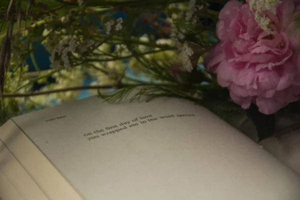 Due poesie tra luce e spine