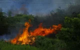 Incendio di Airola, nuovi dati ARPAC: tutti i valori di diossine sotto il valore di riferimento