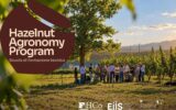 Agroalimentare, Ferrero riapre le candidature per la scuola tecnica dedica al nocciolo Agroalimentare, Ferrero riapre le candidature per la scuola tecnica dedica al nocciolo