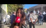 Caro carburante, a Roma protesta di taxi e Ncc sotto il ministero dei Trasporti - Videonews Caro carburante, a Roma protesta di taxi e Ncc sotto il ministero dei Trasporti - Videonews