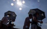Crisi climatica e caldo record, Lancet: "È un'emergenza sanitaria globale, 710mila morti nel 2023" Crisi climatica e caldo record, Lancet: "È un'emergenza sanitaria globale, 710mila morti nel 2023"