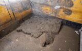 Pompei, scoperto l'armadio dei ricordi: all'interno trucco, monete e un'antica collana Pompei, scoperto l'armadio dei ricordi: all'interno trucco, monete e un'antica collana