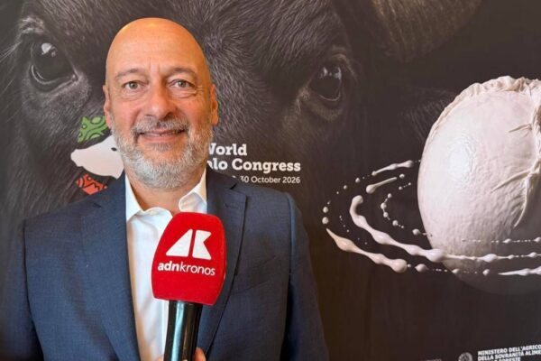 Saccani (Consorzio Mozzarella Bufala Campana Dop): "Per esportare di più serve innovazione" Saccani (Consorzio Mozzarella Bufala Campana Dop): "Per esportare di più serve innovazione"