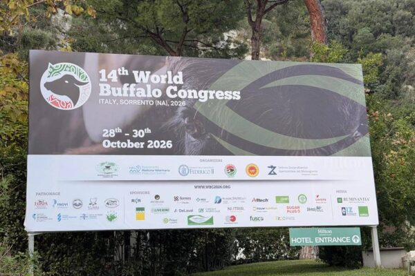 'World Buffalo Congress' road map per futuro con meno burocrazia e più innovazione