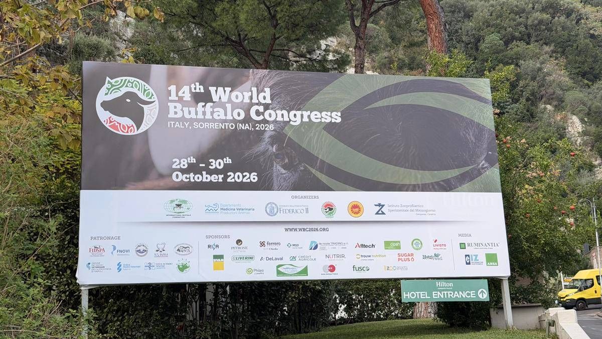 'World Buffalo Congress' road map per futuro con meno burocrazia e più innovazione 'World Buffalo Congress' road map per futuro con meno burocrazia e più innovazione