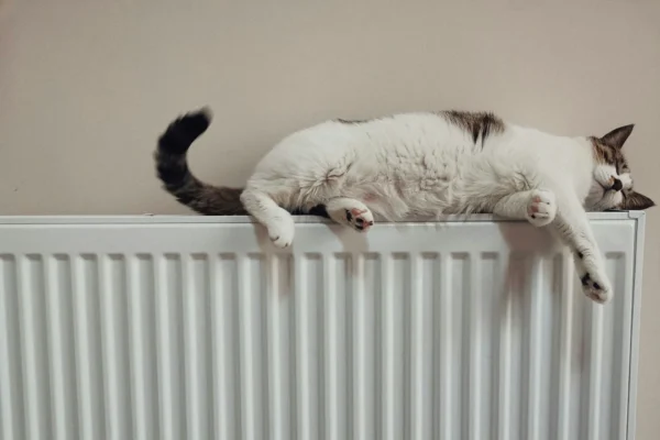 Risparmio energetico, i 10 errori che (quasi) tutti fanno in casa senza saperlo