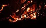 Incendio di Airola, continua il monitoraggio diossine e metalli pesanti