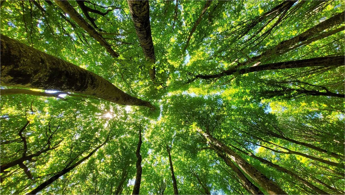 Biodiversità in crisi: le popolazioni di animali selvatici sono diminuite del 73% dal 1970