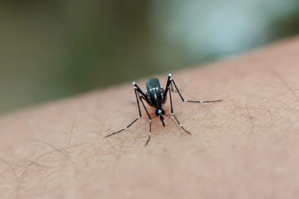 Il cambiamento climatico e la malaria